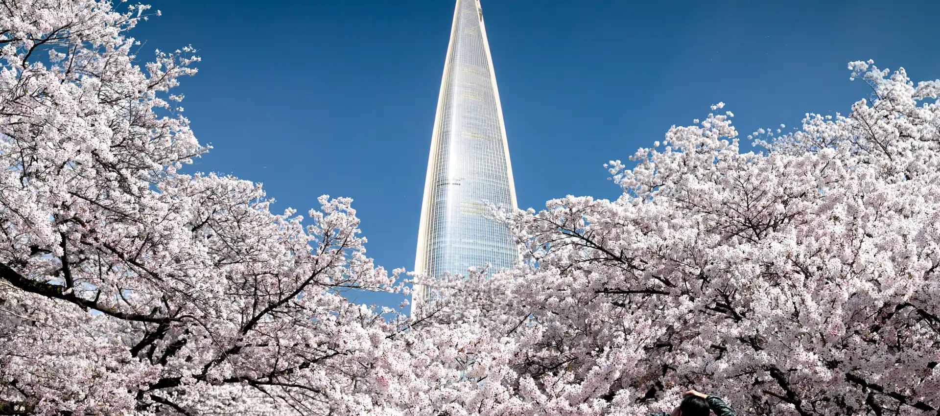 seul-guney-kore.webp