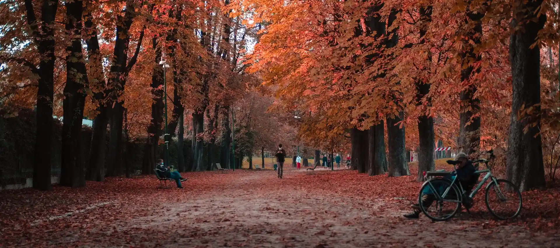 sonbaharda-gezilecek-yerler.webp