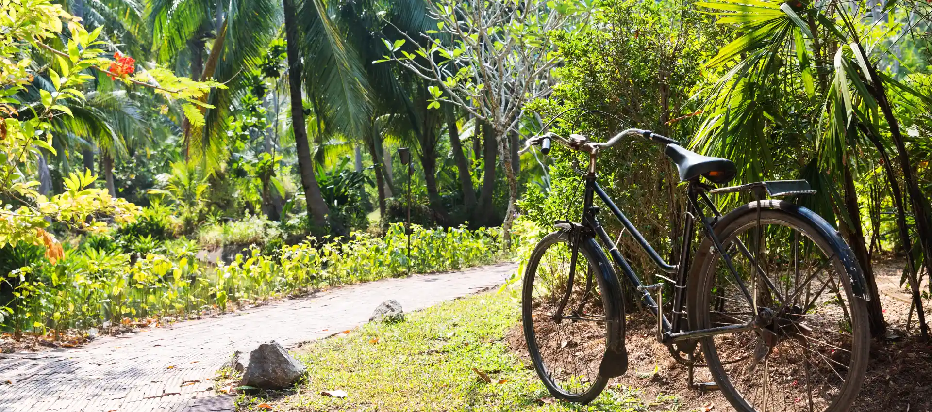 sri-lanka-bisiklet-yolu.webp