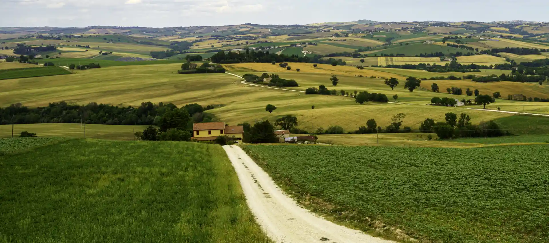 via-francigena.webp