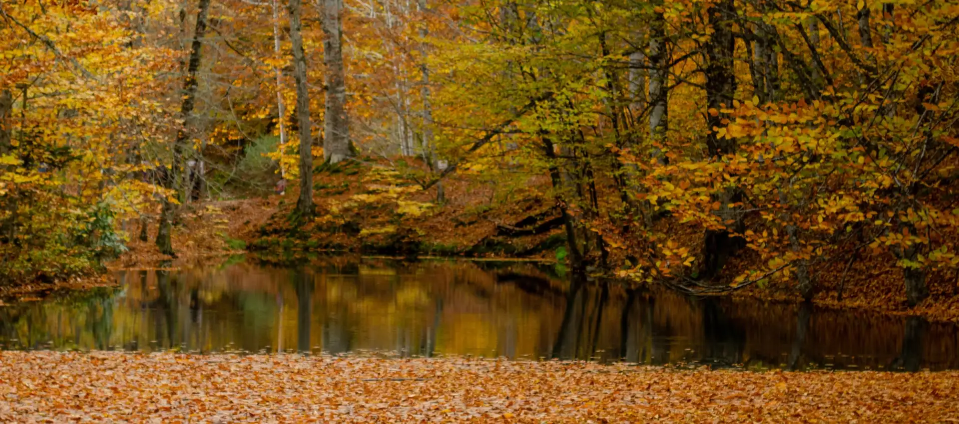 yedigoller (1).webp