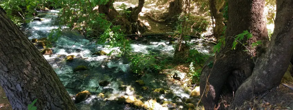 Zeyve Pazarı Karaman