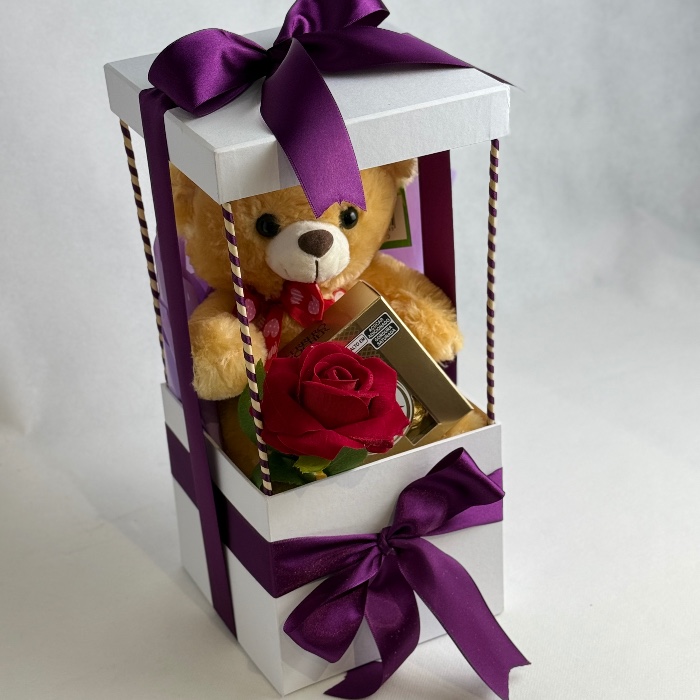 Mini Casinha do Urso