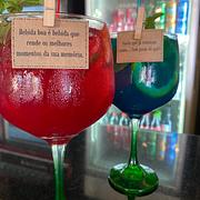 DRINK GIN SABORES