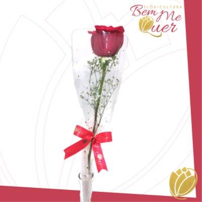 Rosa Natural Embalada