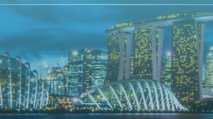 A Guide to Overseas Expansion:  Singapore (Employment Pass)