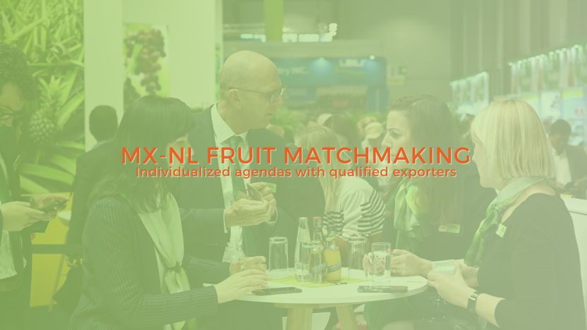 B2B Programa Virtual: MX-NL Fruit Matchmaking para productores mexicanos