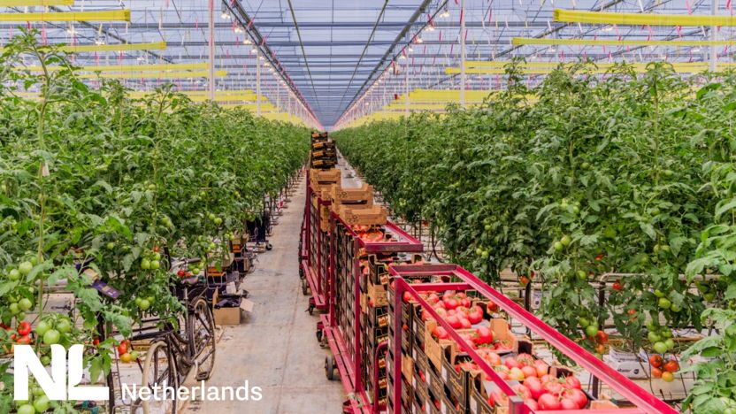 Dutch Mission to Brazil: Sustainable Agriculture, Food & Vegetables