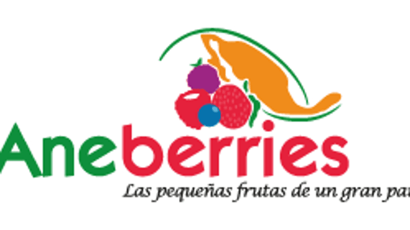 International Aneberries Congress 2022