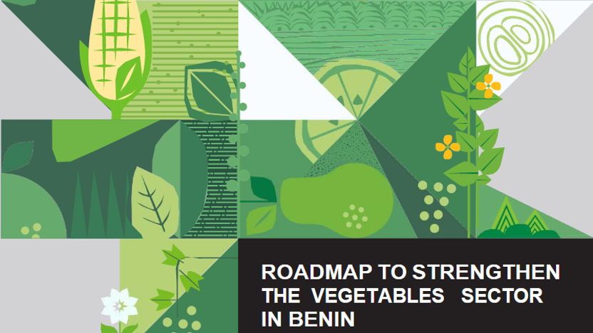 Roadmap to strengthen the vegetables sector in Benin