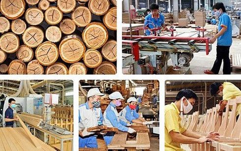 Vietnam looks to boost timber exports to EU