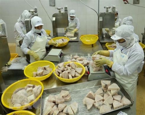 Vietnam moves to develop responsible fishery industry