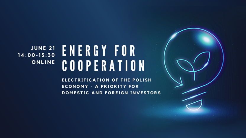 Webinar: Energy for cooperation. Electrification of the Polish economy - a priority for domestic and foreign investors