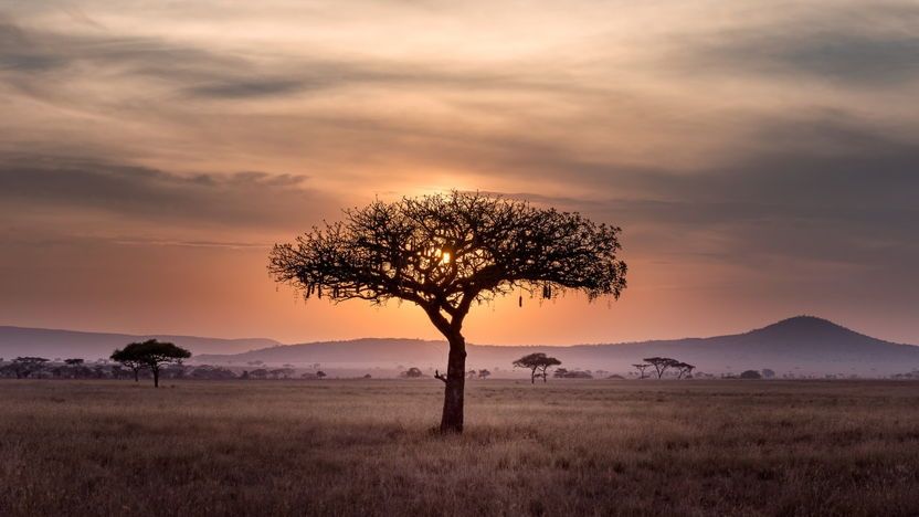 Webinar Ondernemen in Afrika