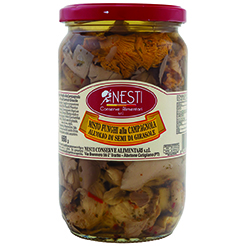 MISTO FUNGHI ALLA CAMPAGNOLA OLIO SEMI