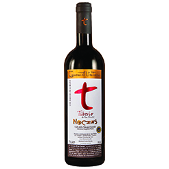 NOCENS TIBERIO