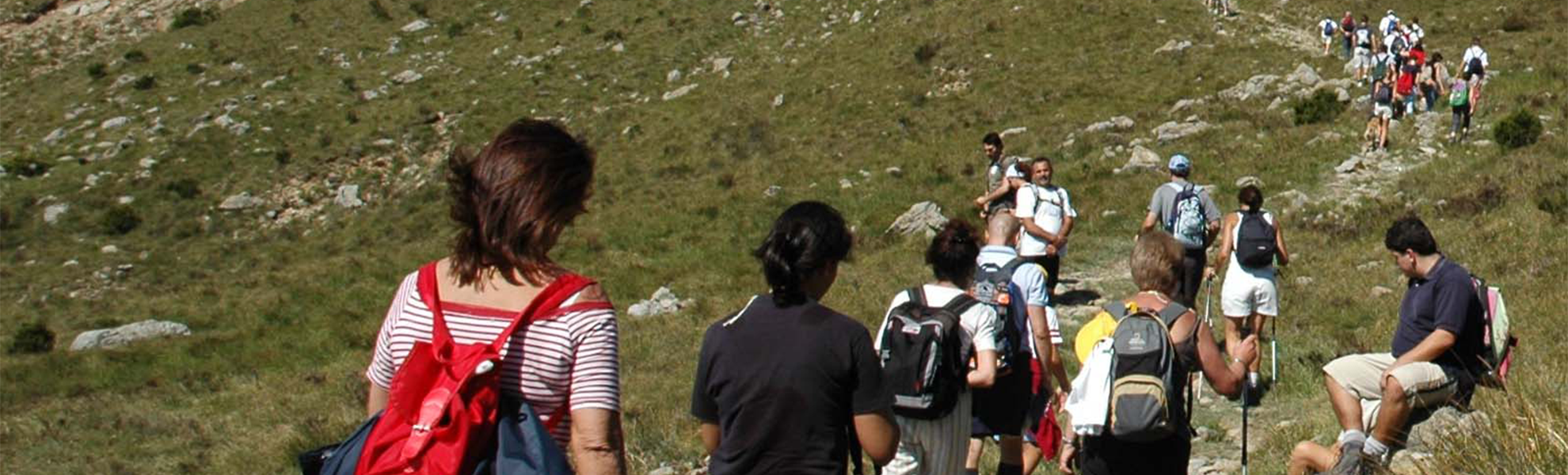 immagine copertina evento