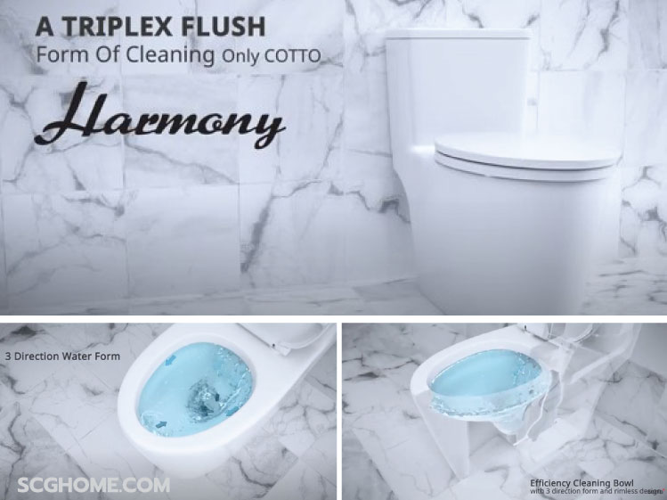 สุขภัณฑ์ระบบ-Triplex-Flush-รูปแบบการชำระล้าง