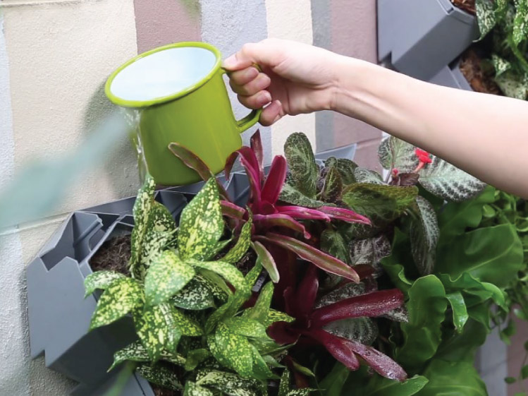 SCG-Modular-Green-Hive-รดน้ำ