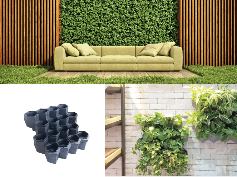 สวนแนวตั้ง