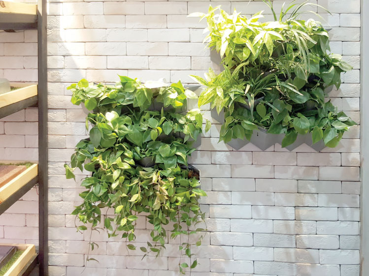 ติดตั้ง-SCG-Modular-Green-Hive-2-ยูนิต-แยกจากกัน