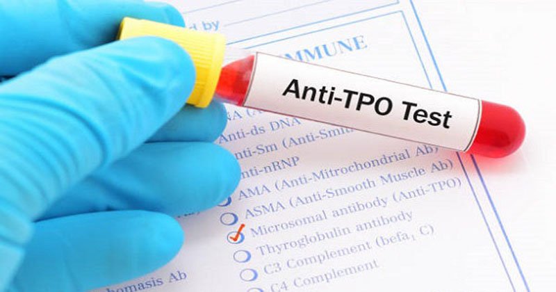 Antimicrosomal Anti Tpo – Hashimoto Thyroiditis – FZFJK