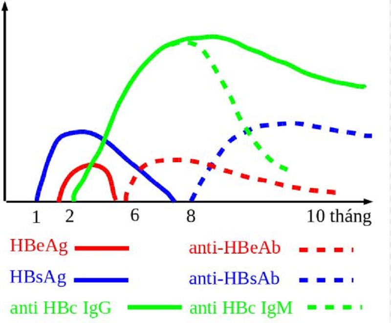 Vai trò của xét nghiệm HBeAg và HBeAb