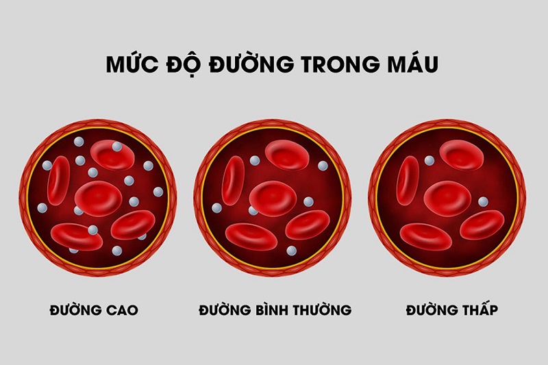 Quy trình xét nghiệm sinh hóa máu glucose như thế nào?
