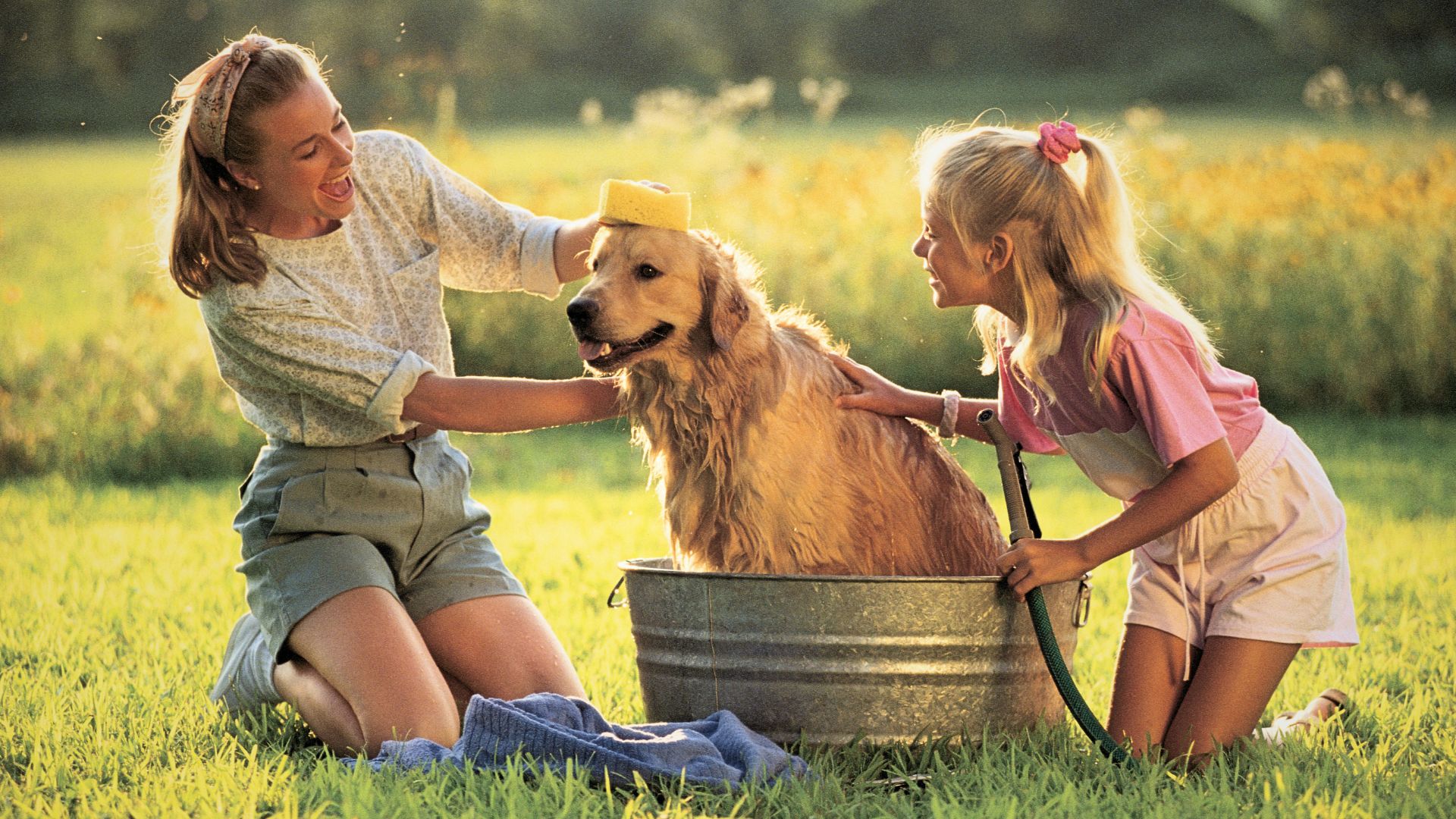 How Dogs Enrich Family Life