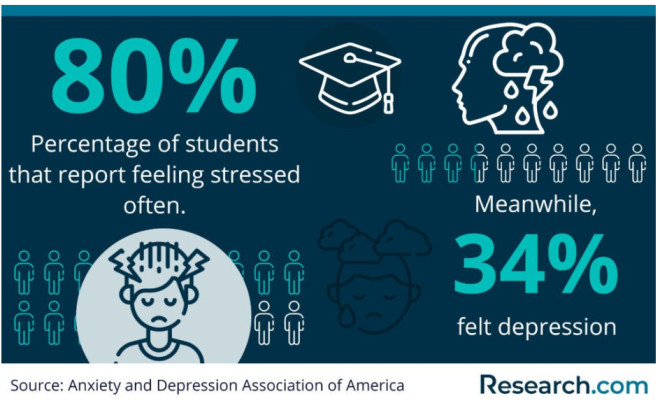 Infographic about the Struggles of Students