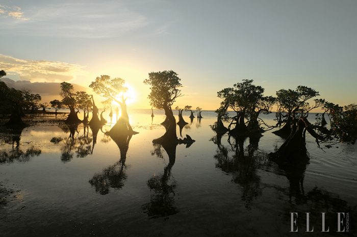 kondisi pariwisata indonesia pasca covid 19