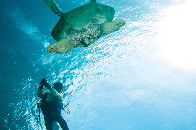 8 pulau kecil indonesia belum terjamah - derawan island