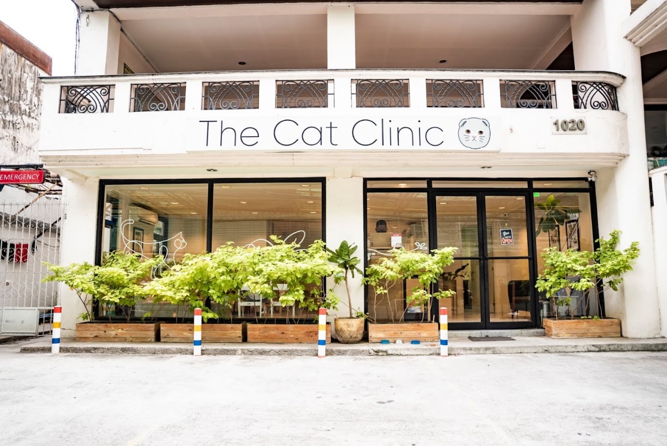 The Cat Clinic Makati
