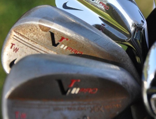tiger witb wedge