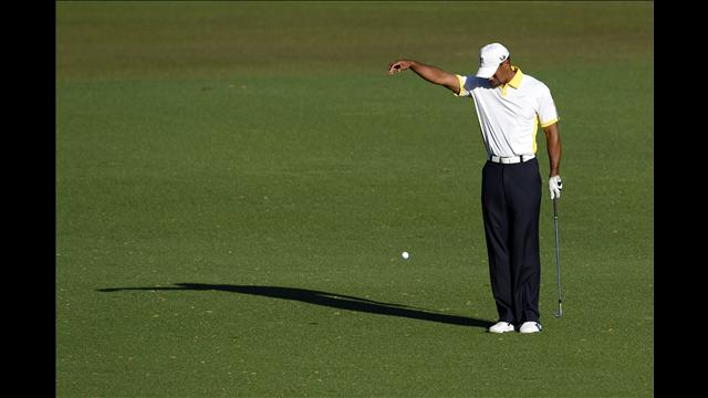 Tiger Drop Masters