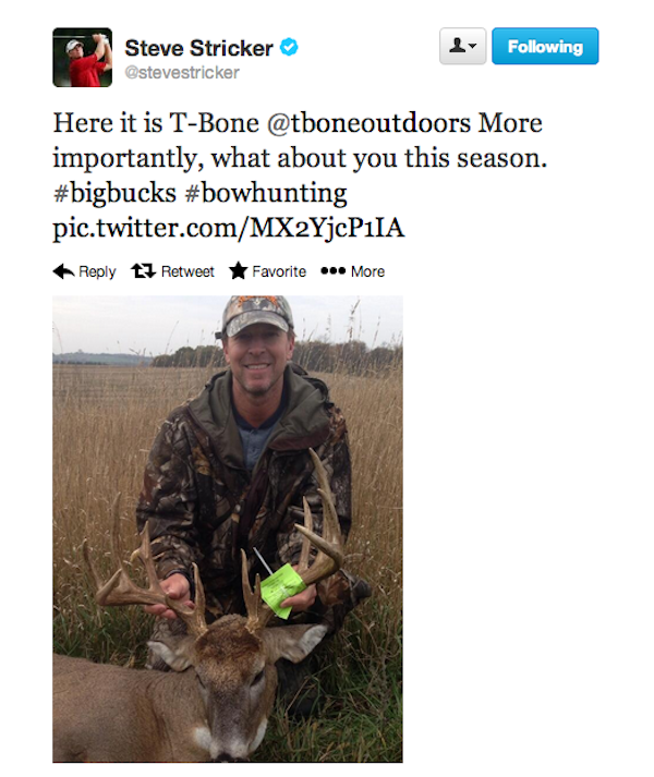 Stricker-Deer-