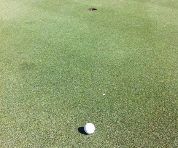 putting5