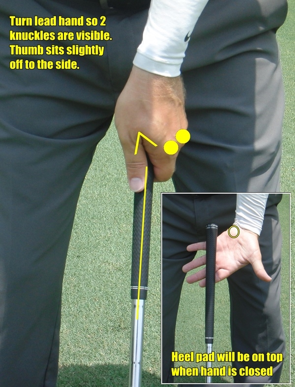 Grip Checks Color