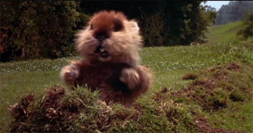 Dancing_Gopher_Caddyshack1