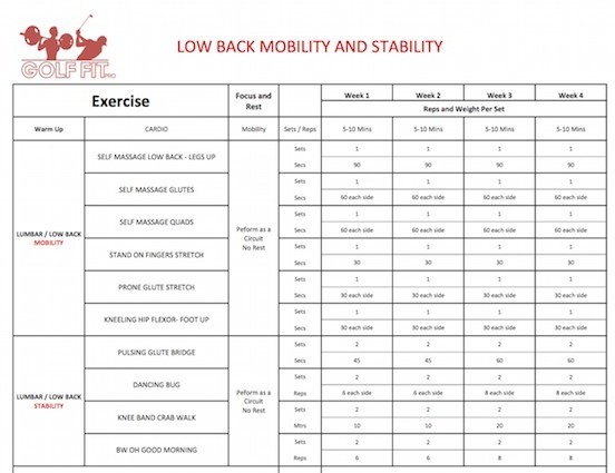 Low Back Mobility and stability