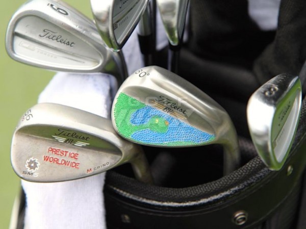 TPCsawgrasswedge