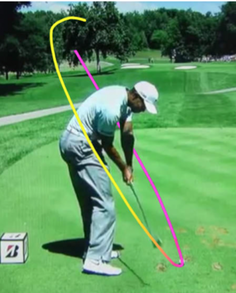 TigerWoodsGolf