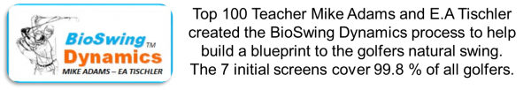 bioswing