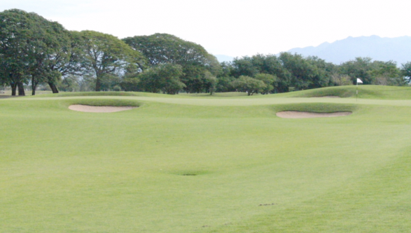 StickneyGolfonTV