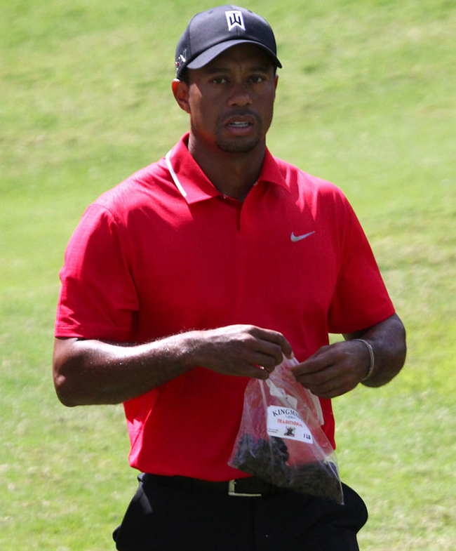 tiger-woods