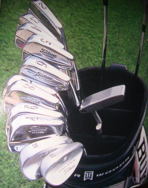 TigerTitleistIrons
