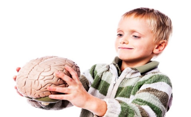 Childs Brain (3)