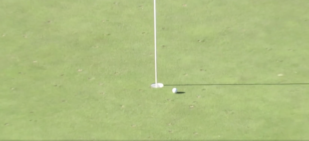 MolinariBallMarks
