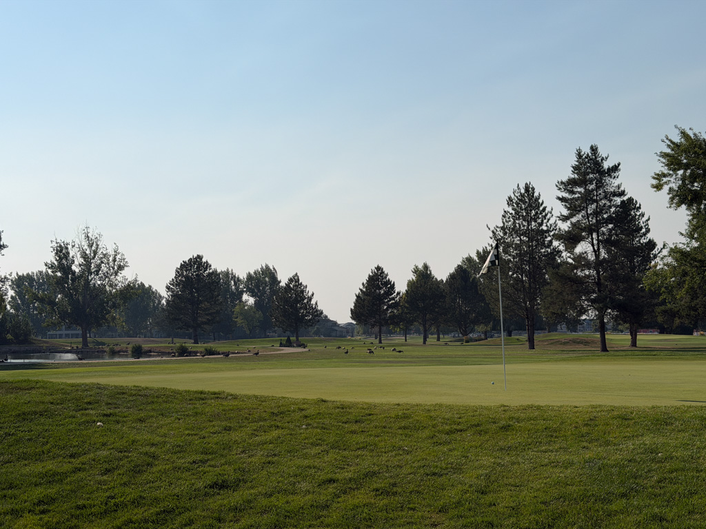 Birdie start…and downhill from there: AVL’s U.S. Mid-Am qualifier recap