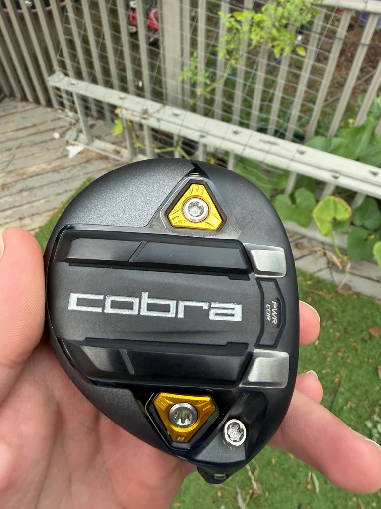 Cobra Long Tom Raw Driver & Grafalloy Launches Blackbird Shaft